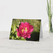 Peony, kaart (Voorkant)