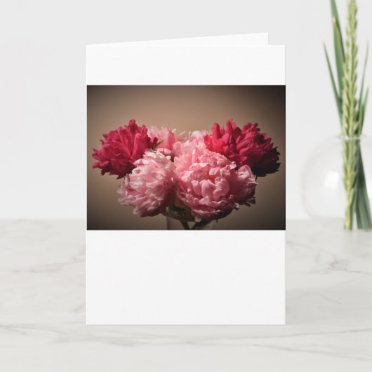 Peony, kaart (Voorkant)