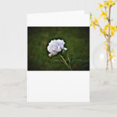 Peony, kaart (Gele Bloem)
