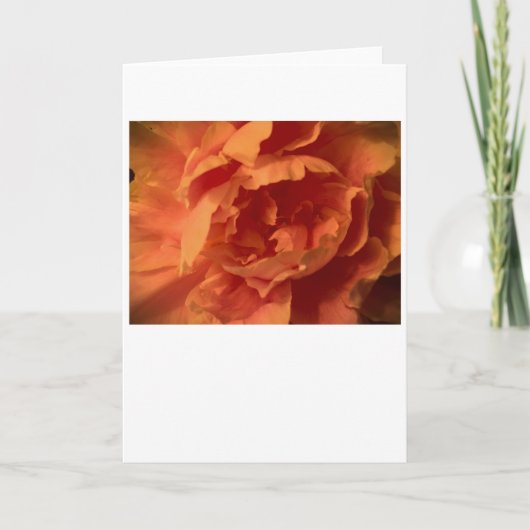 Peony, kaart (Voorkant)