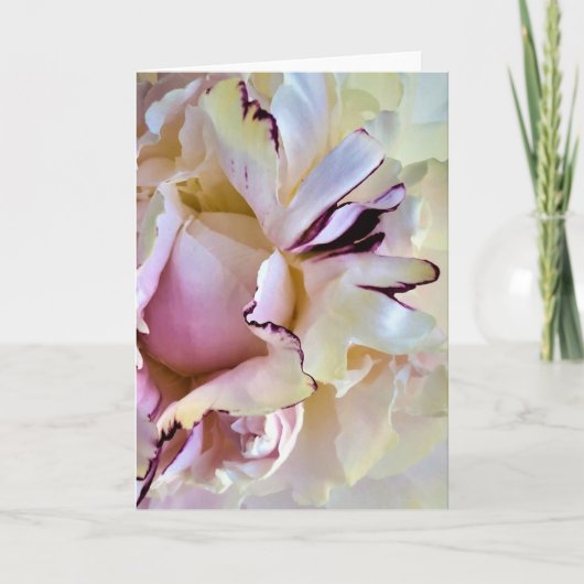 Peony, kaart (Voorkant)