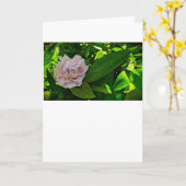 Peony, kaart (Gele Bloem)