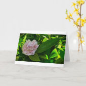 Peony, kaart (Gele Bloem)