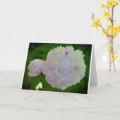 Peony, kaart (Gele Bloem)