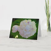 Peony, kaart (Voorkant)