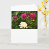 Peony, kaart (Gele Bloem)