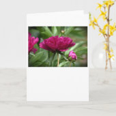 Peony, kaart (Gele Bloem)