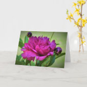 Peony, kaart (Gele Bloem)