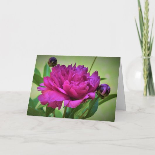 Peony, kaart (Voorkant)