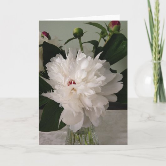 Peony, Kaart (Voorkant)