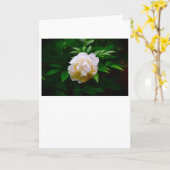 Peony, kaart (Gele Bloem)