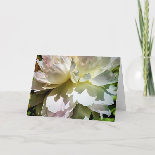 Peony, kaart (Voorkant)