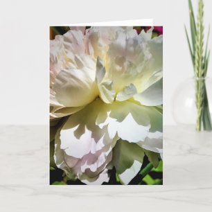 Peony, kaart