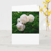 Peony, kaart (Gele Bloem)