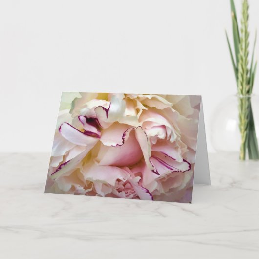 Peony, kaart (Voorkant)