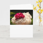 Peony, kaart (Gele Bloem)