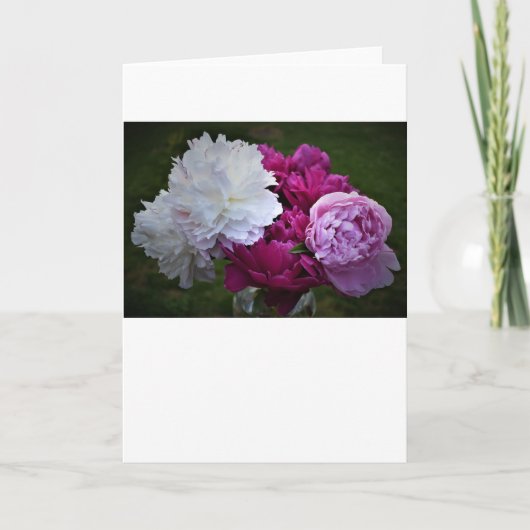 Peony, kaart (Voorkant)
