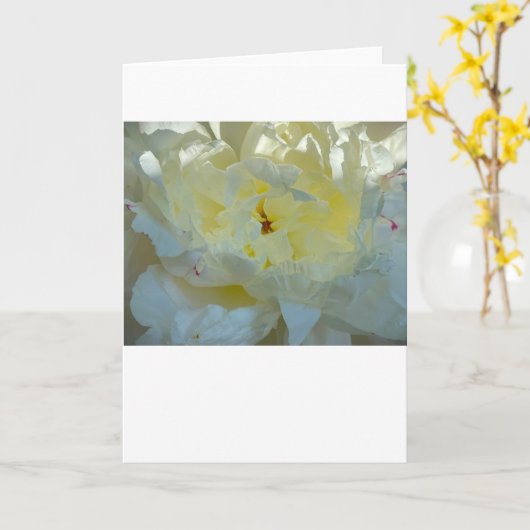 Peony, kaart (Gele Bloem)