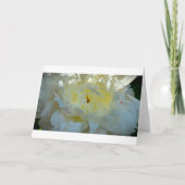 Peony, kaart (Voorkant)