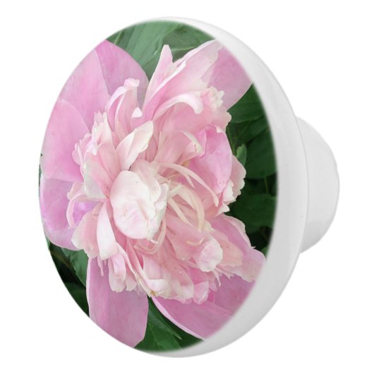 Peony Knob Keramische Knop (Rechts)