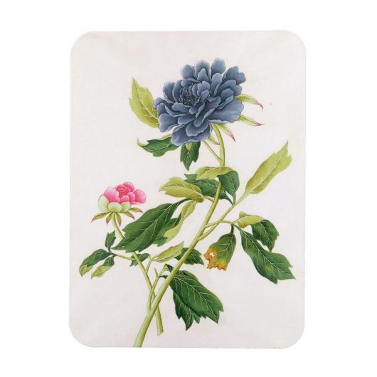 Peony Magneet (Verticaal)