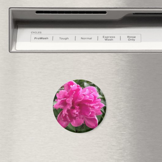 Peony Magnet (Insitu (Vaatwasser))