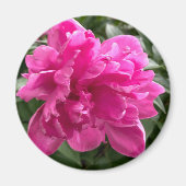 Peony Magnet (Voorkant)