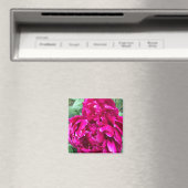 Peony Magnet (Insitu (Vaatwasser))
