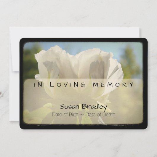 Peony  Memorial Sympathie Hartelijk dank 4 Kaart (Voorkant)