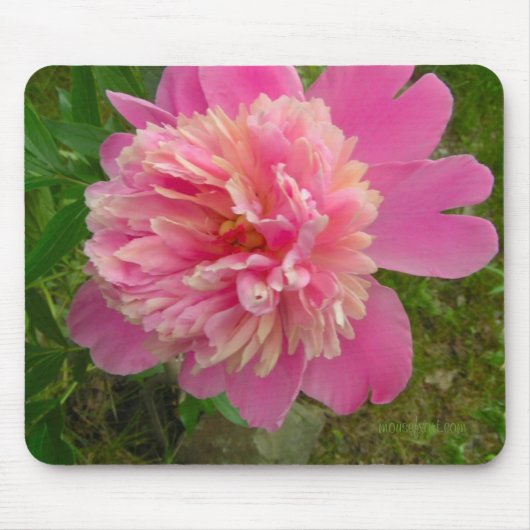 Peony Mousepad Muismat (Voorkant)