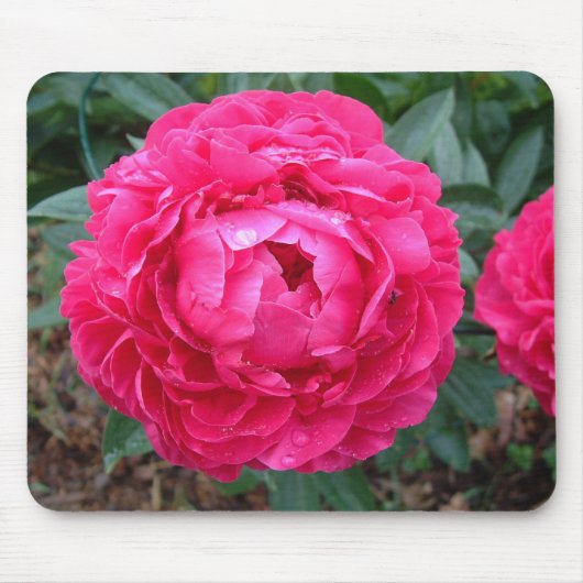 Peony Mousepad Muismat (Voorkant)