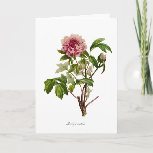 Peony moutan kaart (Voorkant)