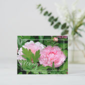 Peony | Paeony | Paeonia van de Paeoniaceae-bloem Briefkaart (Staand voorkant)