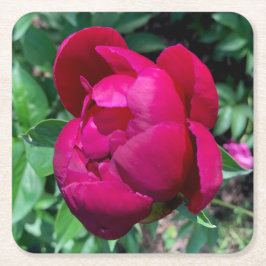 Peony Paper Drink Onderzetter