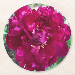 Peony Paper Onderzetter
