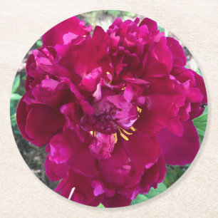 Peony Paper Onderzetter