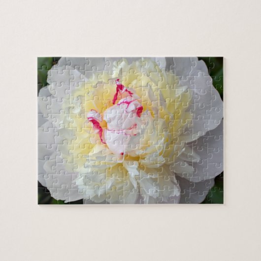 Peony Passion Legpuzzel (Horizontaal)