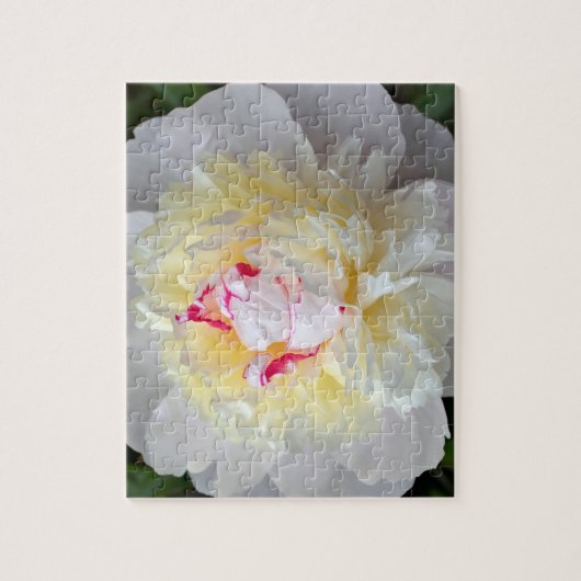 Peony Passion Legpuzzel (Verticaal)