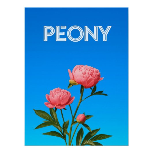 Peony Perfect Poster (Voorkant)
