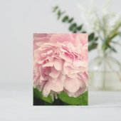 Peony Petals Briefkaart (Staand voorkant)