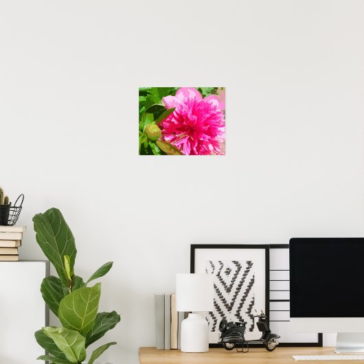 Peony Pink Flower Poster (Thuiskantoor)