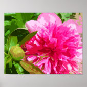 Peony Pink Flower Poster (Voorkant)