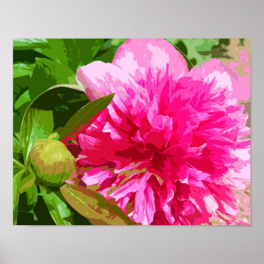 Peony Pink Flower Poster (Voorkant)