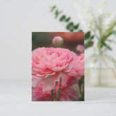 Peony Pink Ranunculus Closeup Briefkaart (Staand voorkant)