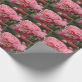 Peony Pink Ranunculus Closeup Cadeaupapier (Hoek)