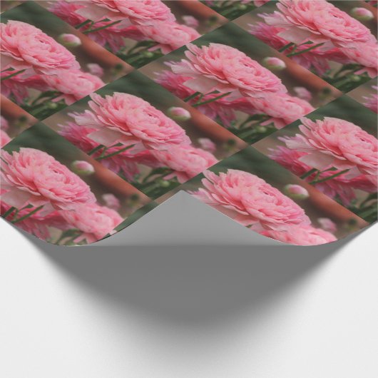 Peony Pink Ranunculus Closeup Cadeaupapier (Hoek)