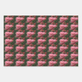 Peony Pink Ranunculus Closeup Inpakpapier Vel (Voorkant 3)