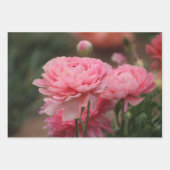 Peony Pink Ranunculus Closeup Inpakpapier Vel (Voorkant)