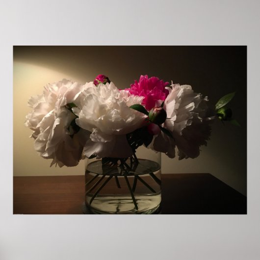 Peony Poster (Voorkant)