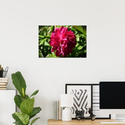 Peony Poster (Thuiskantoor)